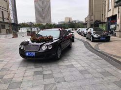 -蚂蚁婚车