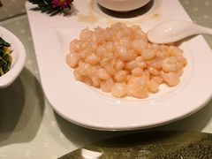 滑炒河虾仁-顺风海鲜港(长寿路店)