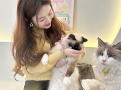 -共舞时光猫咖·狗咖(新街口店)