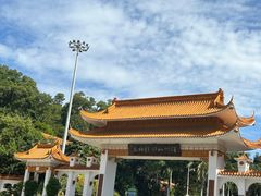 -深圳仙湖植物园