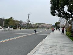 -羊山湖公园