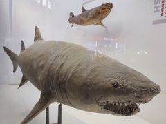 -重庆欢乐海底世界