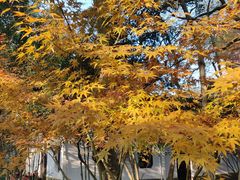 -杭州西湖风景名胜区-章太炎纪念馆