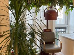 -瑶舍头疗·瑶浴·芳香热石SPA(五洲国际店)