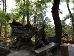 -山叶口景区