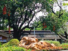 -荔湾湖公园