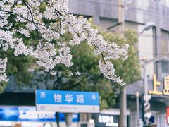 -玛格萝妮比萨屋(四平店)