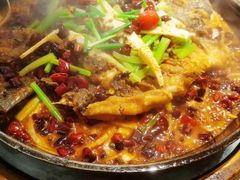 -老板恋上鱼(印象城店)