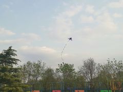 -太阳宫公园