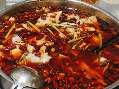 花鲢-蛙蛙鸡冷锅鱼(驷马桥店)