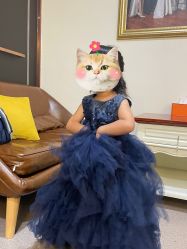 -玛瑞莎·儿童·亲子摄影(越秀店)