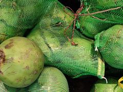 -东椰·海南椰子鸡火锅(朝阳门店)