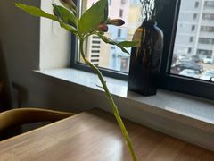 -幸薈飯堂