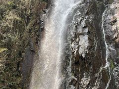 -姑婆山旅游区