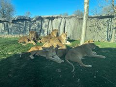 -北京野生动物园