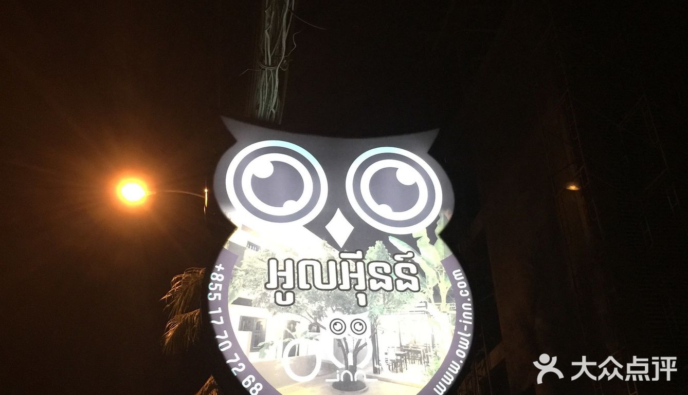 我在柬埔寨吃的各种虫子