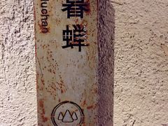 -看见远方·莫干遥远的山民宿