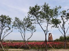 -漩门湾国家湿地公园