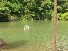 -广州白江湖森林公园