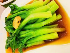 白灼芥蓝-金时代顺风大酒店(协泰店)