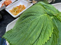 -海花锅盖烧烤店(怡馨家园店)