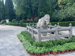 -洛阳白马寺