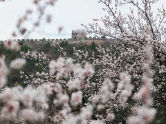 -居庸关长城