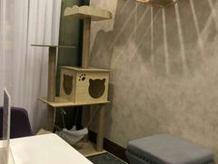 -宠爱国际动物医院· 猫科· 外科·中兽医(长白店)