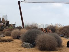 -重庆市江北嘴中央商务区中央公园