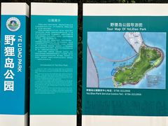 -野狸岛