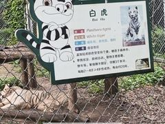 -合肥野生动物园