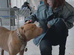 -HALO SOUL COFFEE·咖啡·甜品·简餐(嘉年华海信广场店)