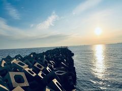-东疆建设开发纪念公园