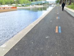 -大望京公园