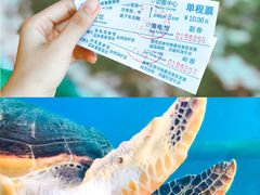 -广东惠东海龟国家级自然保护区
