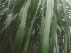 -阳光海鲜城(太仓万达店)