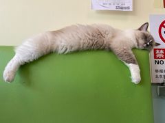 -美迦爱-牙专科·兔科·骨科诊疗中心(北苑店)