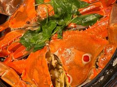 -陈鹏鹏潮汕菜(欢乐海岸 海边景观店)