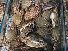 -盛华世家商业广场农贸水产综合批发市场