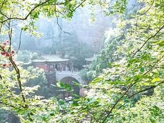 -苍岩山风景名胜区