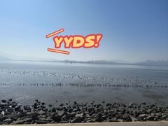 -深圳湾公园(南山区)