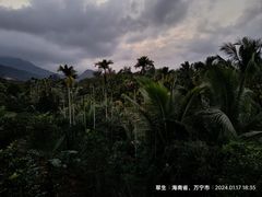 -万兴启丰椰子文化园餐厅