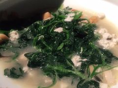 青岛大虾烧白菜-拾久(东三环中路店)