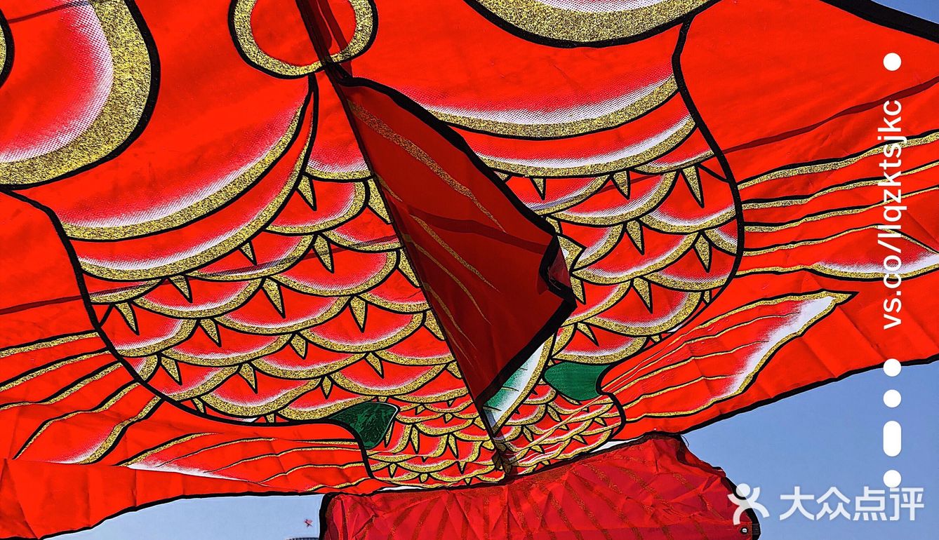 大鱼海棠 | 我们的大鱼海棠是这条天河最美的崽