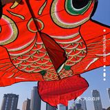大鱼海棠 | 我们的大鱼海棠是这条天河最美的崽