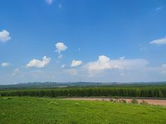 -御道口草原森林风景区