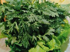 -仄园围炉坊·牛肉火锅·汕头卤水火锅(蛇口店)