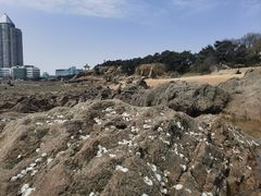 -青岛第二海水浴场