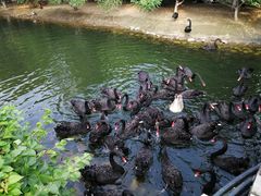 -长白岛森林公园