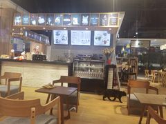 -藏猫猫咖啡主题馆(中央大道店)